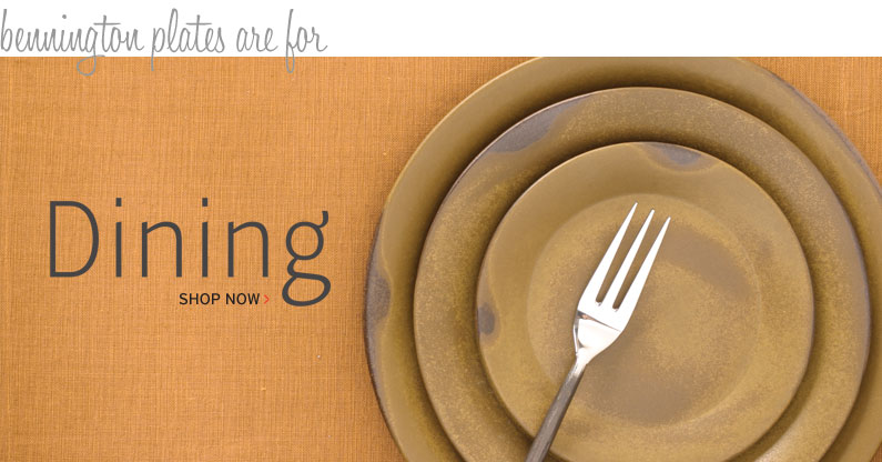 Stoneware Dining Plates